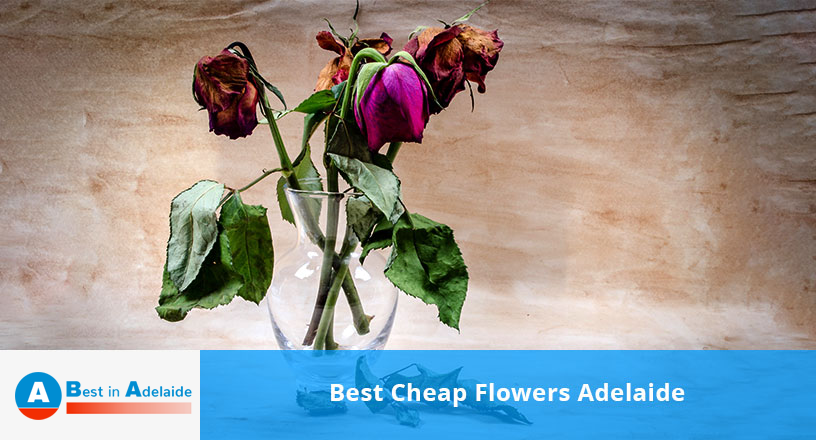 Best Cheap Flowers Adelaide