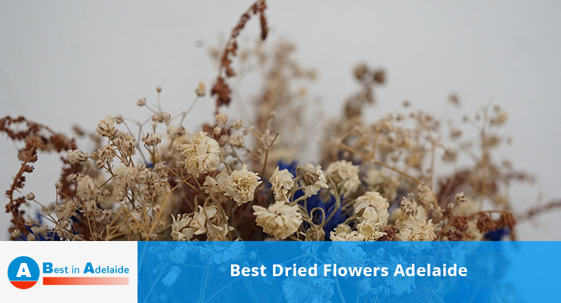 Best Dried Flowers Adelaide