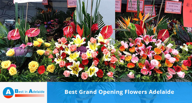 Best Grand Opening Flowers Adelaide