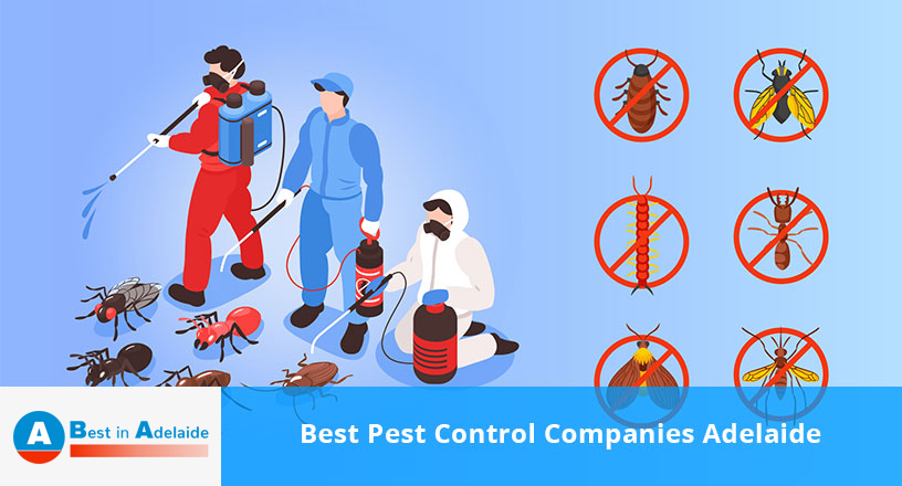 Best Pest Control Companies Adelaide
