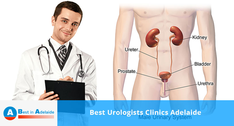 Best Urologists Clinics Adelaide
